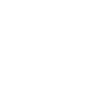 Painter icon